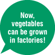 Now, vegetables can be grown in factories!